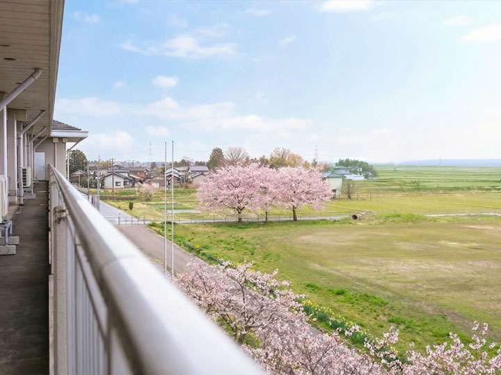 キネス本田 イメージ