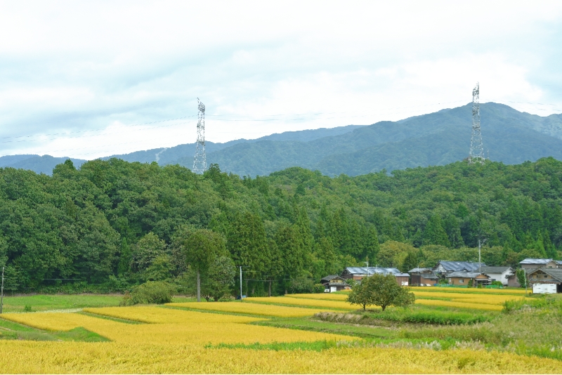 新発田市の紹介