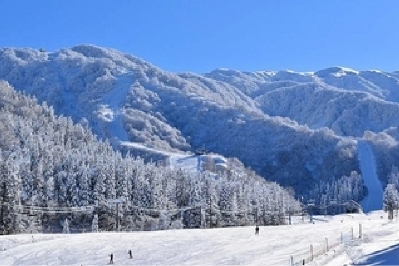新発田市の紹介
