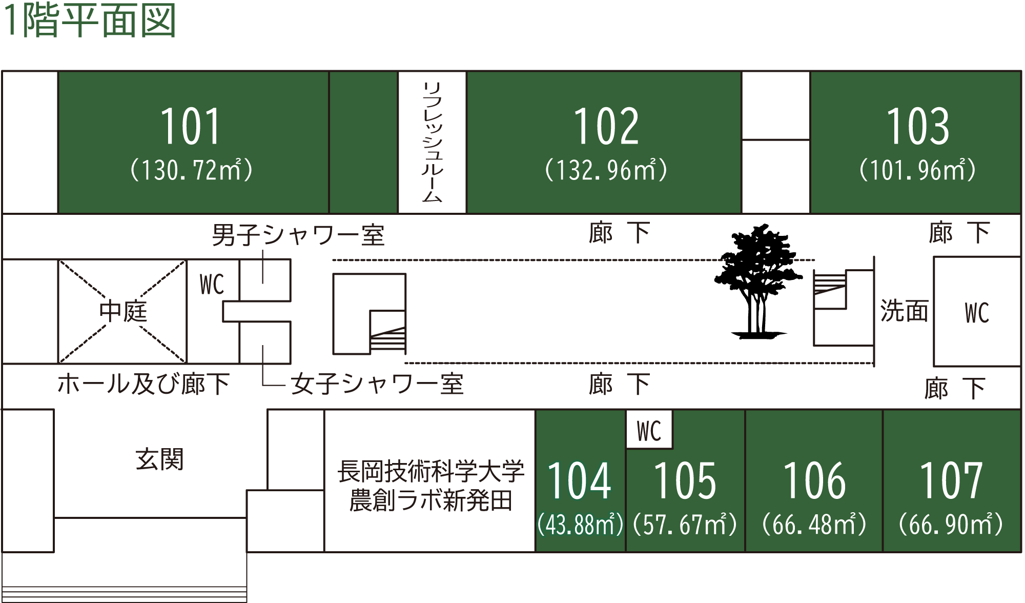 1階平面図